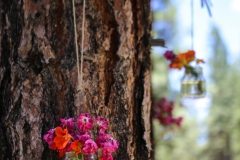 Destination-Wedding-Photography-Misti-Layne_33