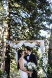 california redwoods elopement photographer