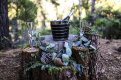 California Redwoods Elopements photographer