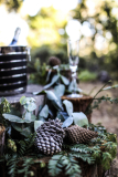 California Redwoods Elopements photographer