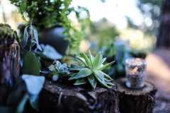 California Redwoods Elopements photographer