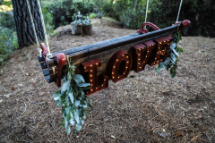 California Redwoods Elopements photographer